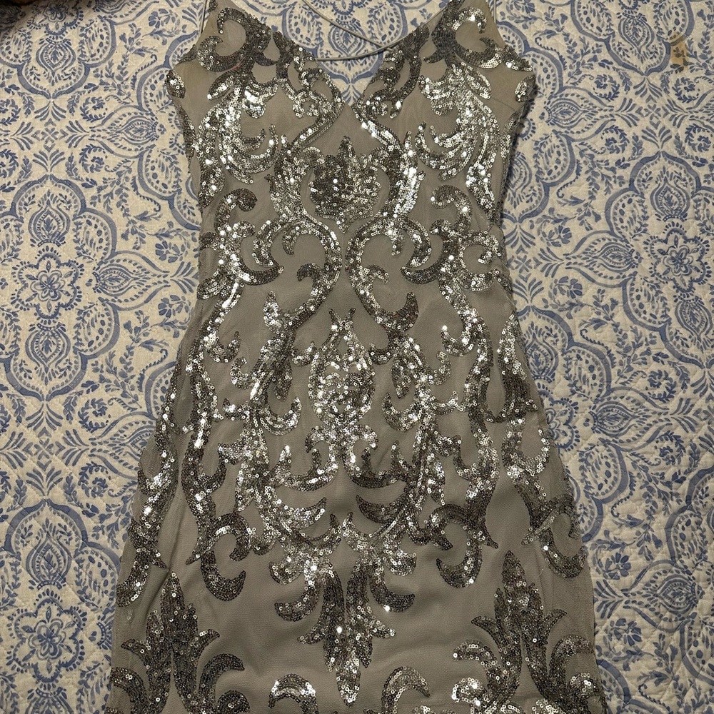 Elegant Silver Sequin Dress